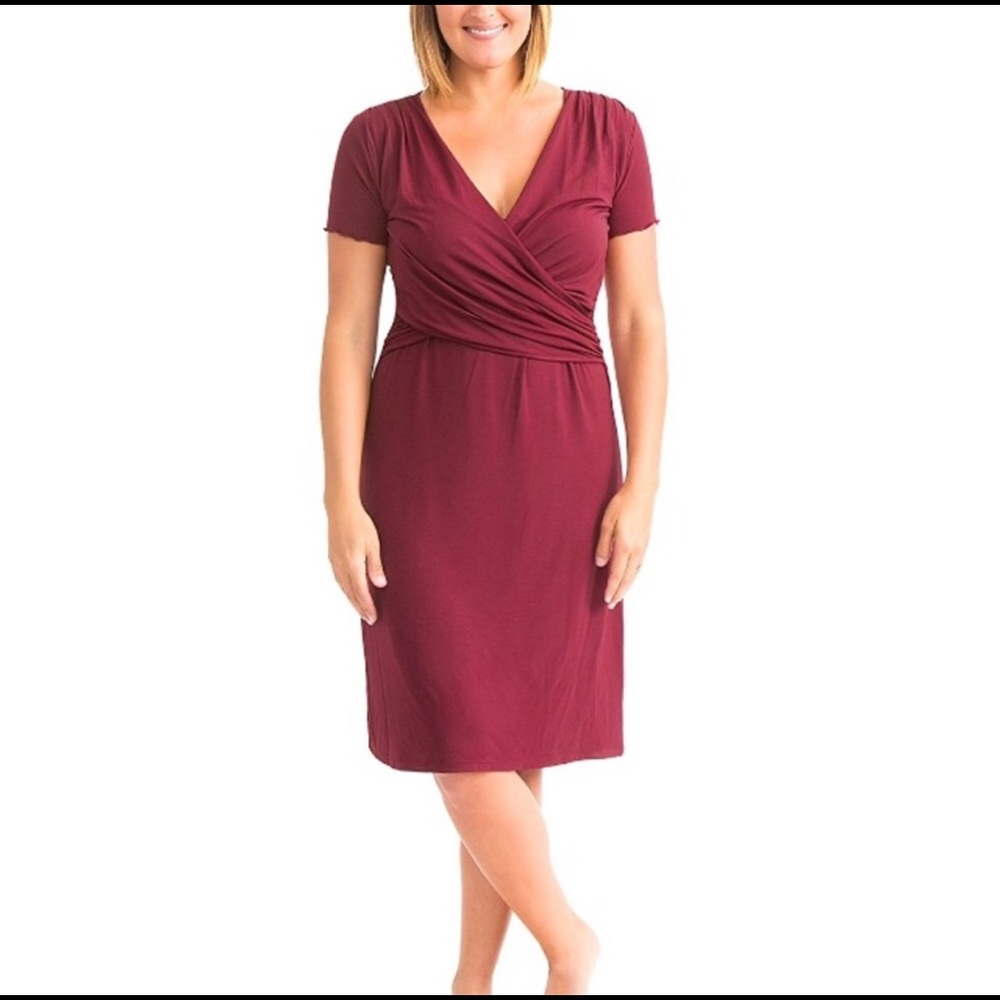 Kindred Bravely Angelina Nursing Maternity Dress